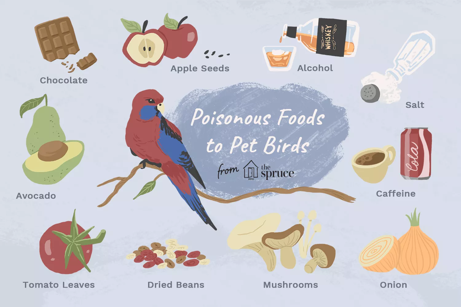 10 Common Foods That Can Poison Your Bird — care guide