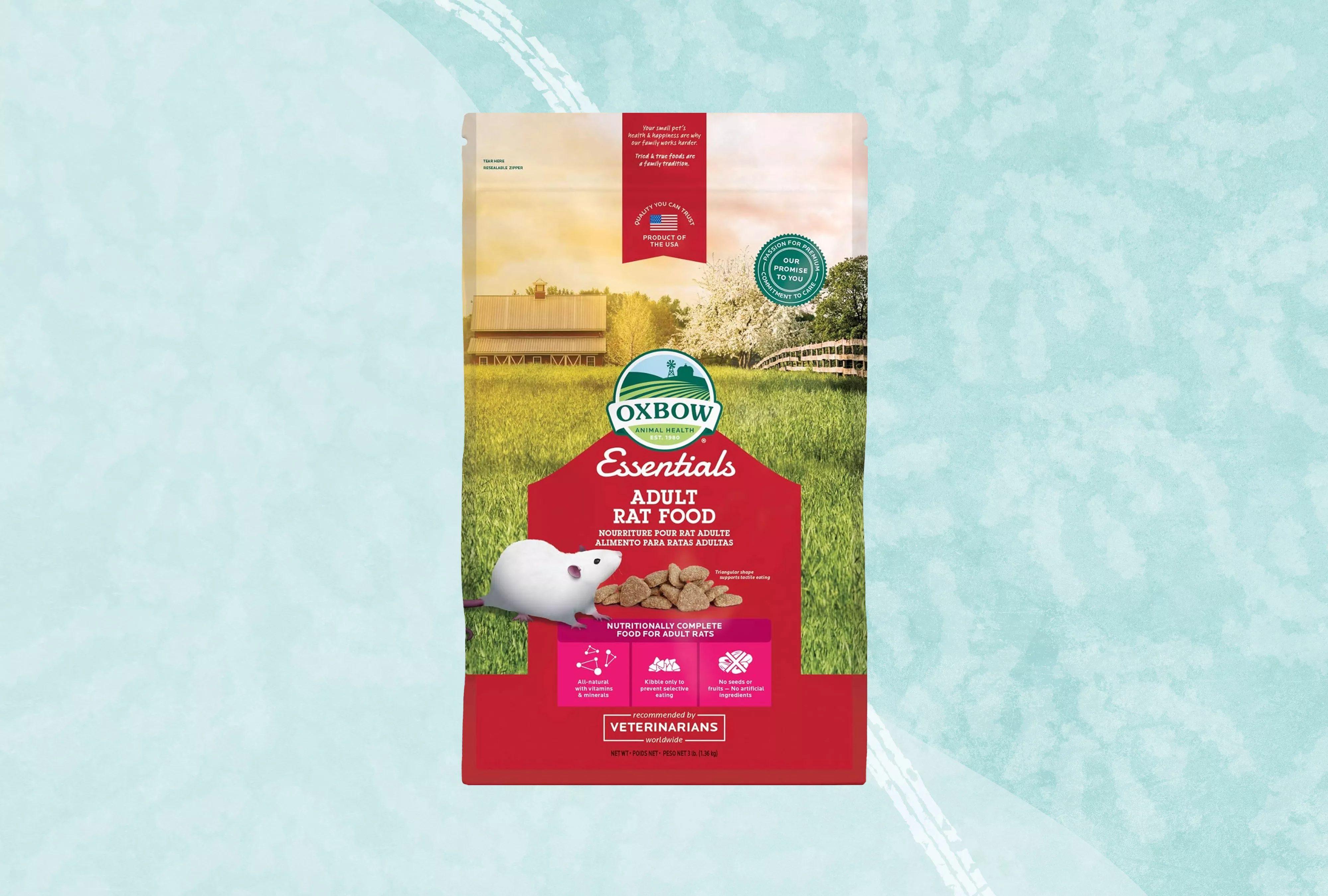 The 9 Best Foods for Pet Rats of 2026 — care guide