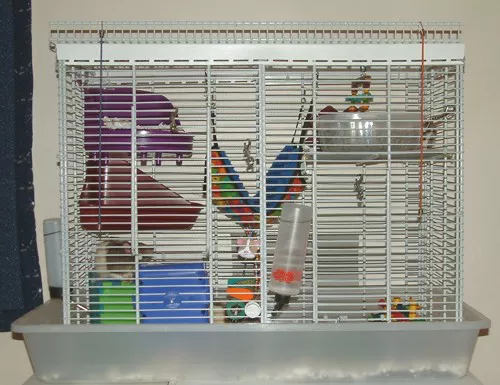 rat cage setup