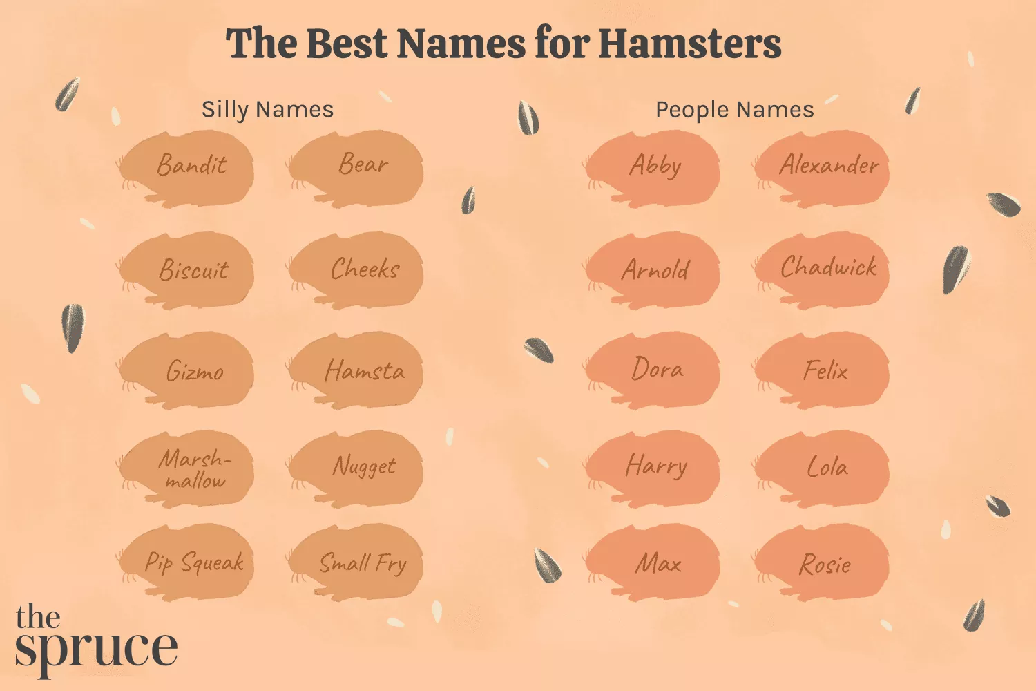 100 Creative and Fun Hamster Names to Delight Every Pet Owner — care guide