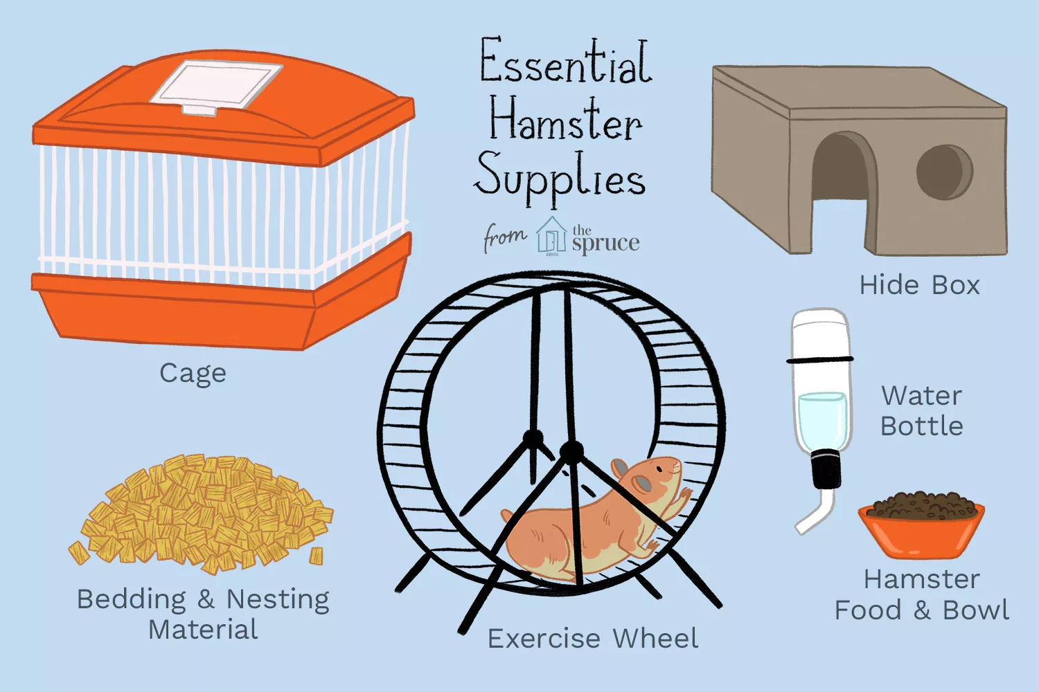 How to Care for Your Pet Hamster — care guide