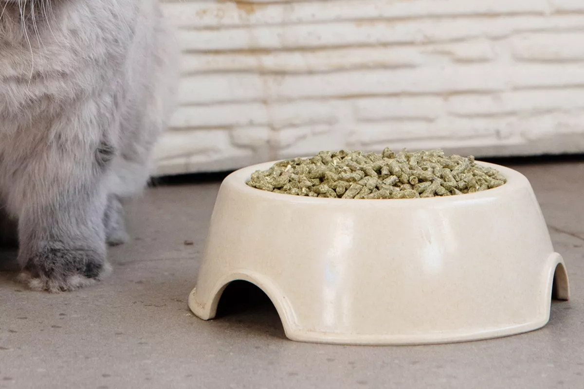 closeup of rabbit pellets