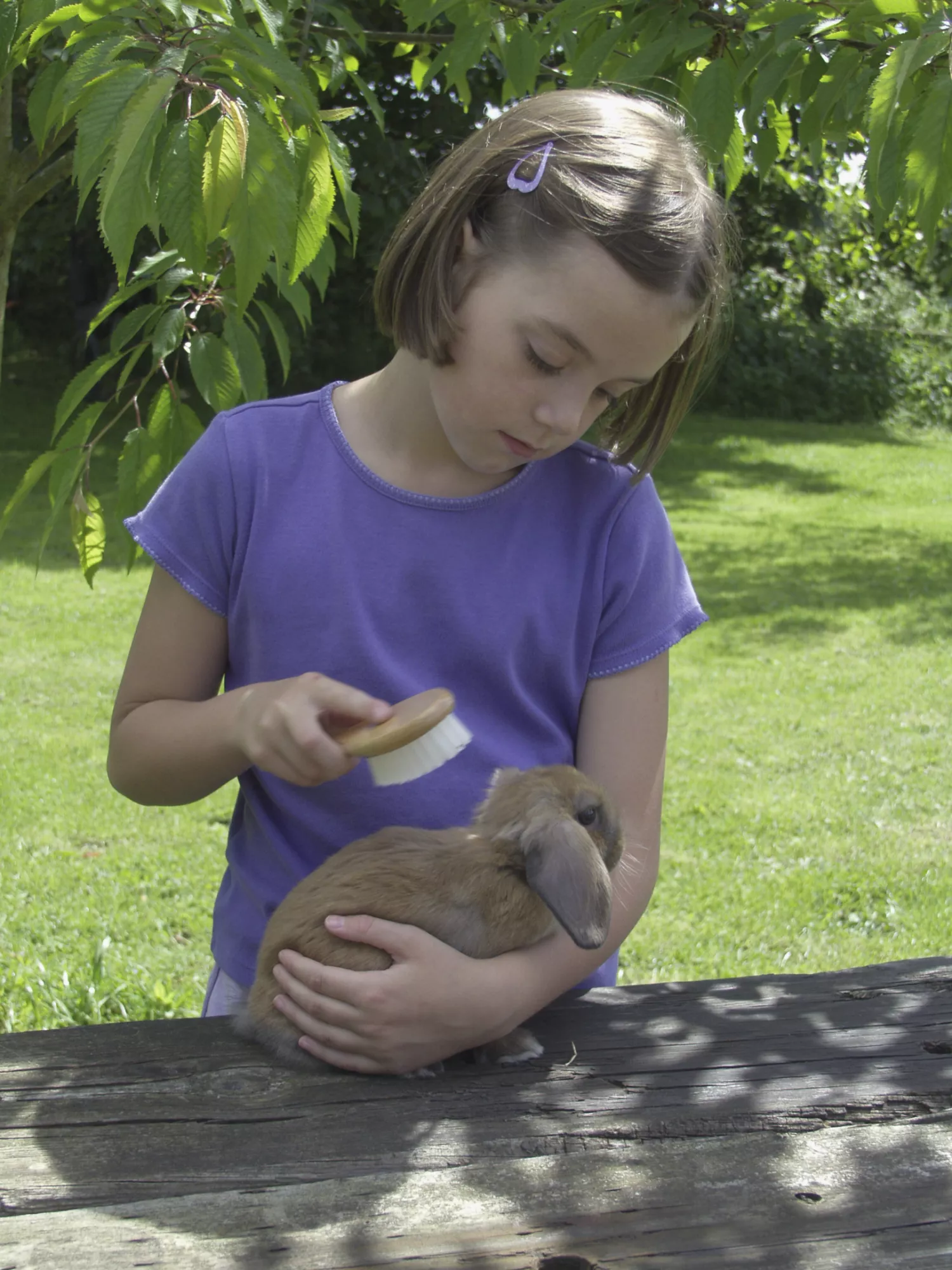 A child brushing a rabbit