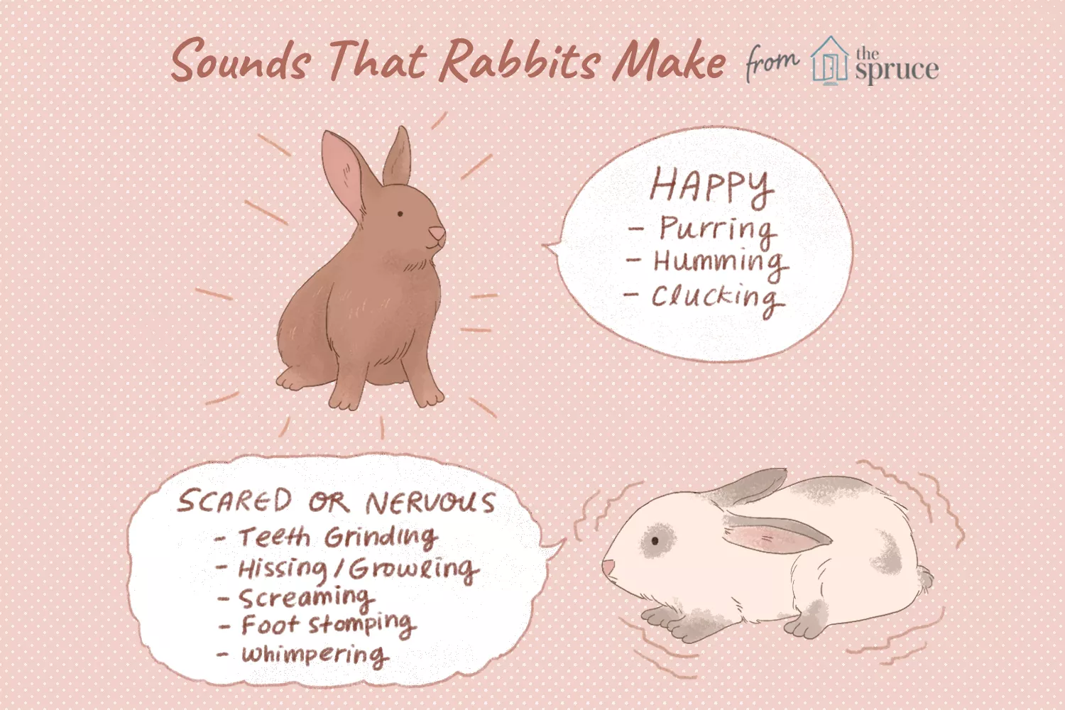 illustration of sounds that rabbits make