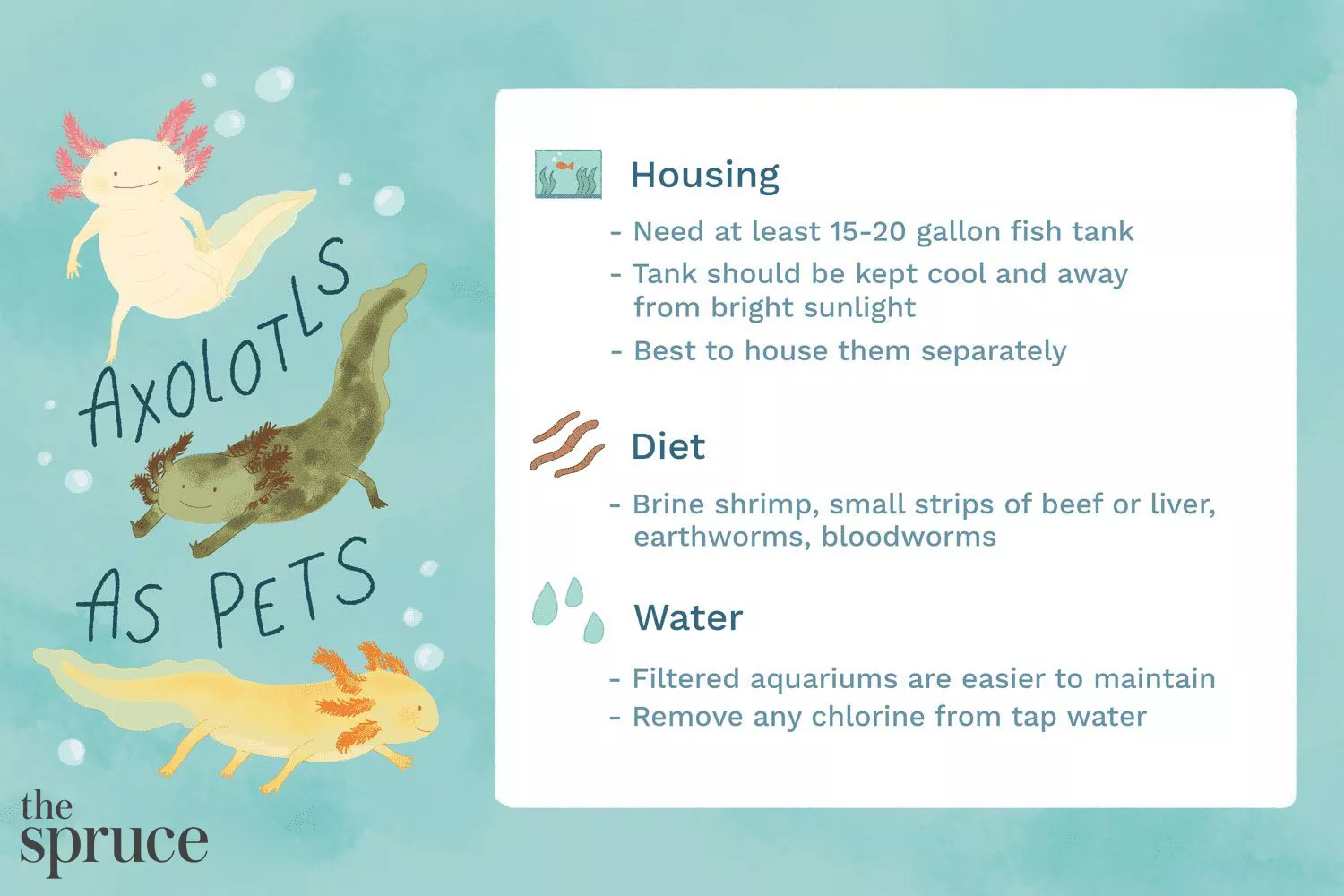 Information on having axolotls as pets