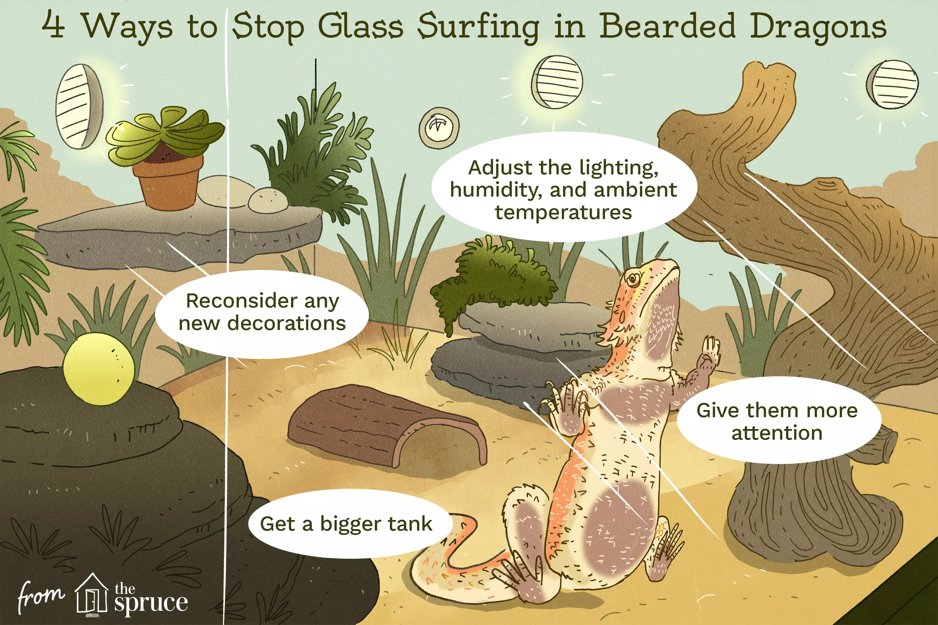 4 Ways to Stop Glass Surfing in Bearded Dragons