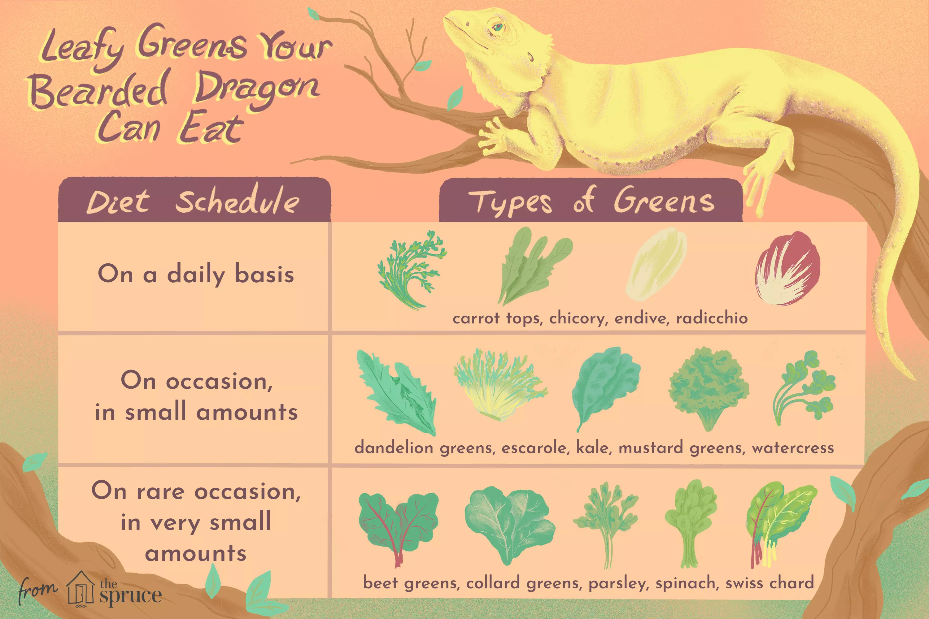 Leafy Greens for Bearded Dragon