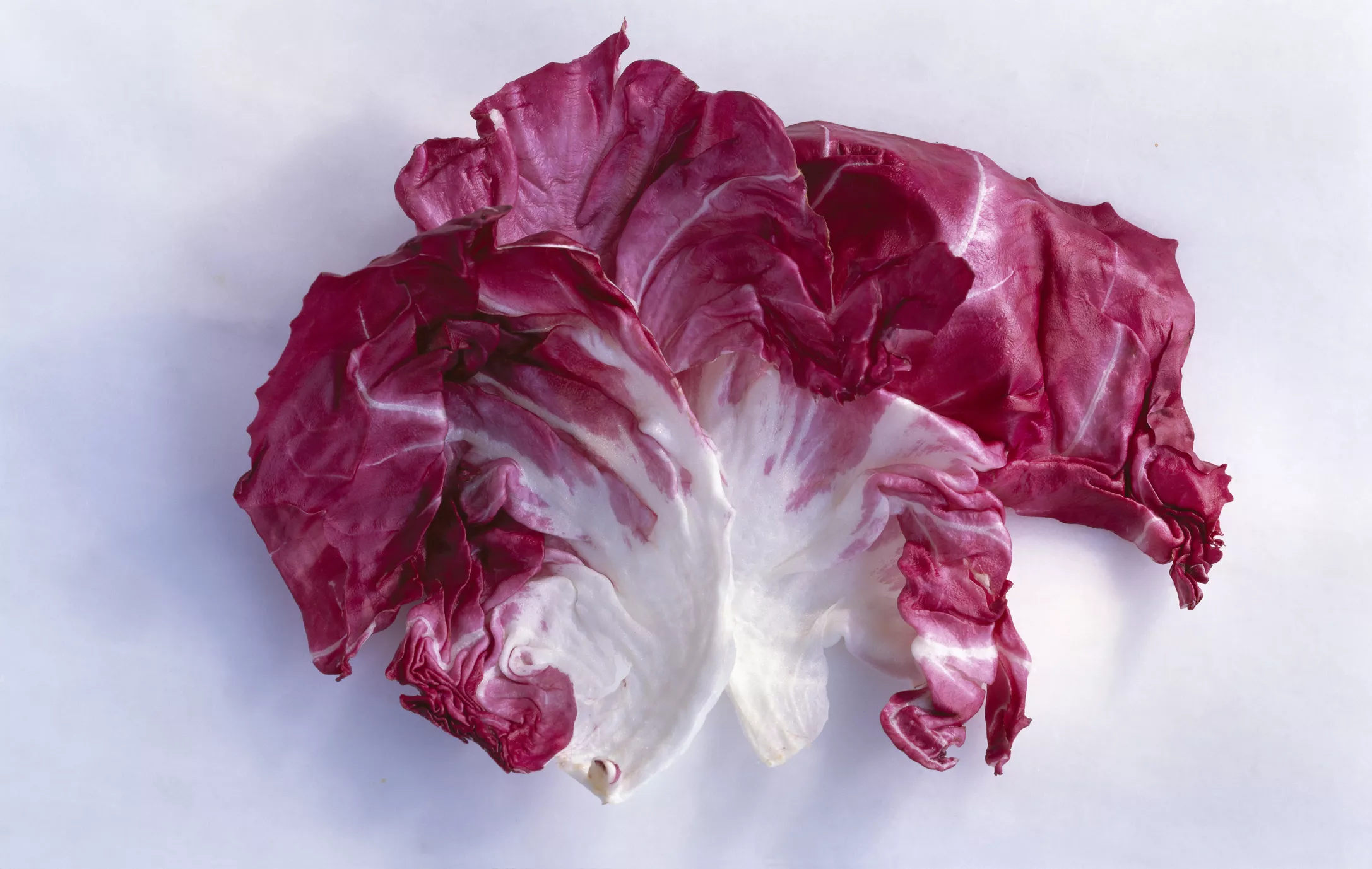 Raw Radicchio