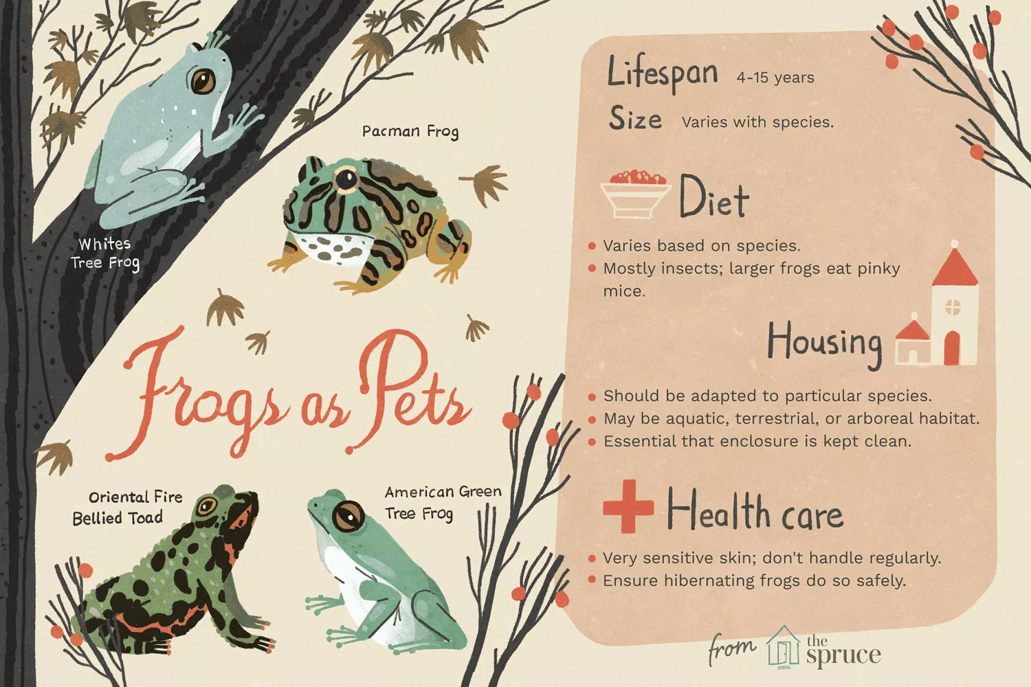 forgs as pets