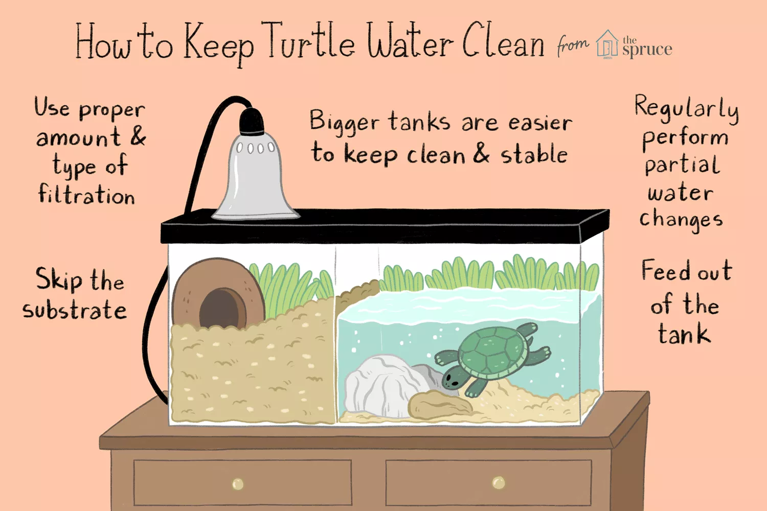 Keeping the Water in Your Turtle Tank Clean — care guide