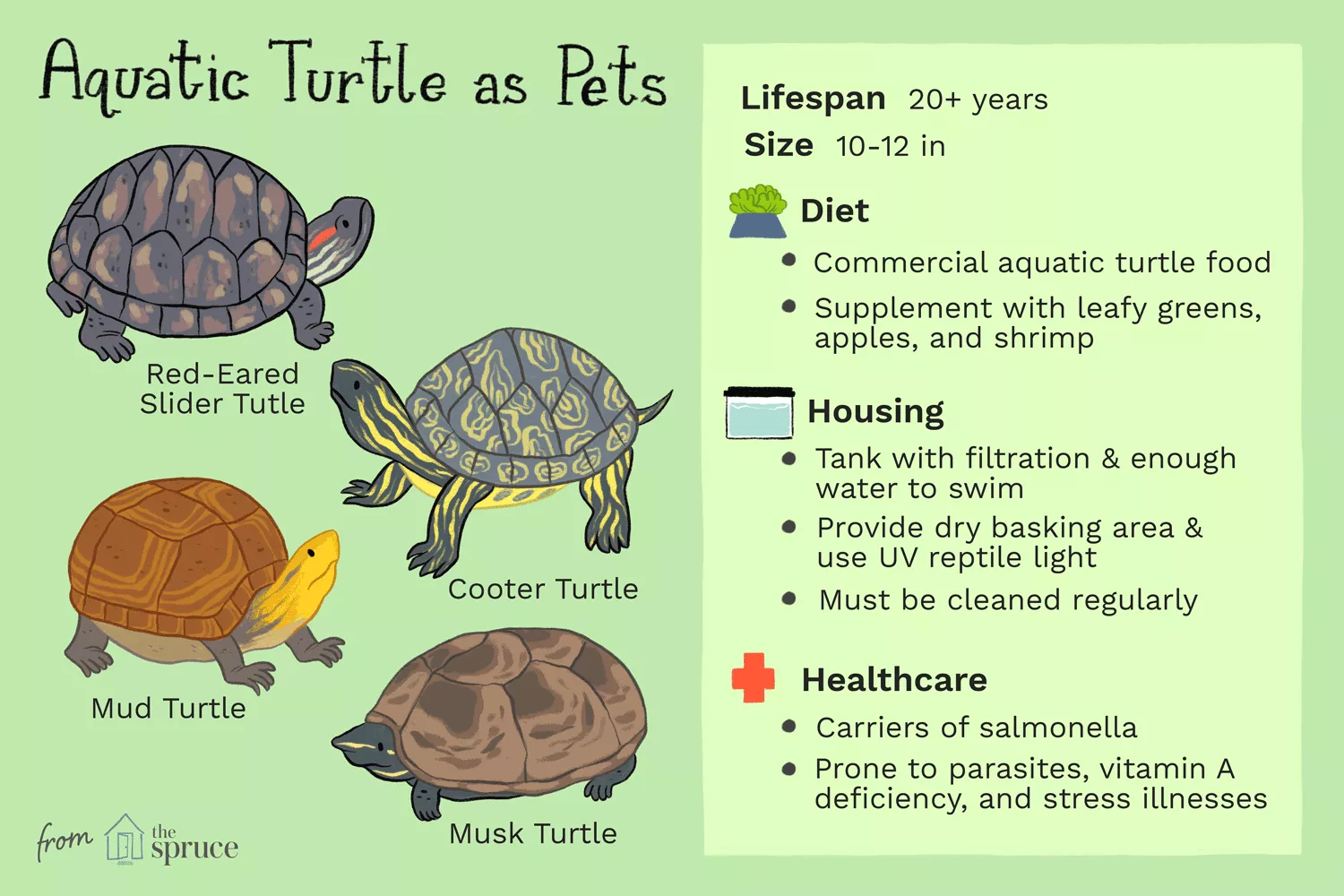keeping aquatic turtles as pets: care sheet