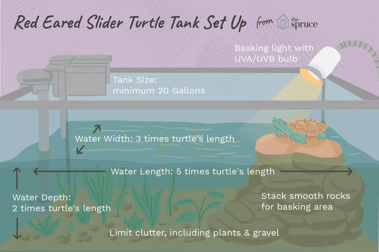 A Complete Guide to Setting Up the Perfect Red-Eared Slider Tank — care guide